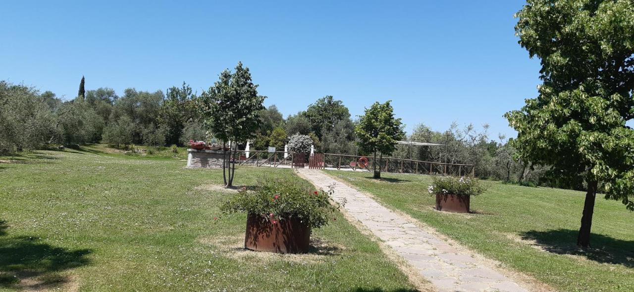 Camere Con Vista In Valdichiana Marciano della Chiana ภายนอก รูปภาพ